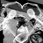 Profile Picture of Alyssa Daniels (@Alyssa-Daniels) on Facebook