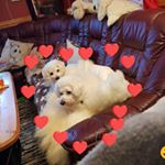 Profile Picture of Eva Solberg (@eva.solberg.3) on Instagram