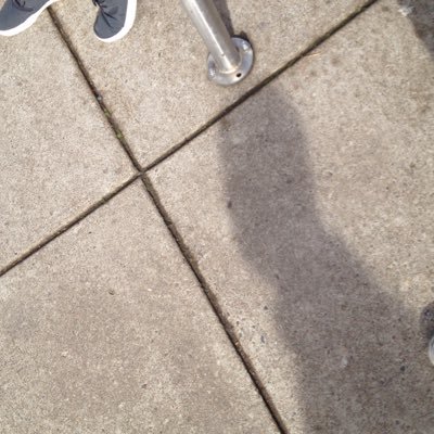 Profile Picture of Fake Acct (@jon_beez) on Twitter