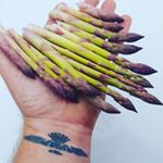 Profile Picture of jeremy david fallaw (@monettaasparagusfarm) on Instagram
