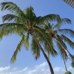 Profile Picture of Michael Sliker (@msliker2) on Instagram