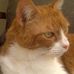 Profile Picture of Alison Craig (@alison.craig.165) on Facebook