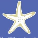 Profile Picture of Nancy Wood (@thewhitestarfish) on Instagram