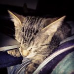 Profile Picture of Robert Kinlaw (@boltgururecipe) on Instagram