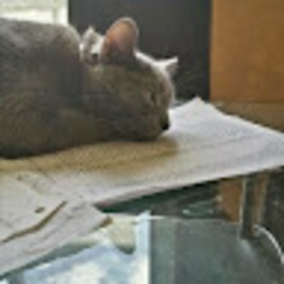 Profile Picture of Ken Wong (@ken21personal) on Poshmark