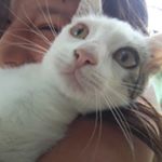 Profile Picture of Amanda Giuliani carrera (@aman_giu_carrera) on Instagram