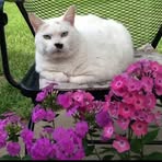 Profile Picture of Jean Struebing Dowell (@jean.s.dowell) on Facebook