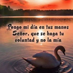 Profile Picture of Mayra Enid (@MayraEnid5) on Twitter