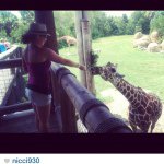 Profile Picture of sheryldanielson1 (@sheryldanielson1) on Instagram