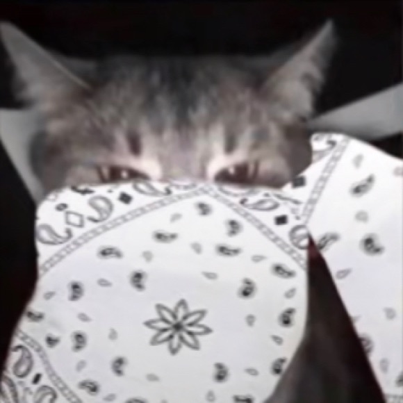 Profile Picture of Caleb Johnston (@cjboss59) on Poshmark