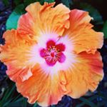 Profile Picture of jason rabbitt (@jasonrabbittpoetry) on Instagram