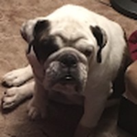 Profile Picture of Jason Montano (@jason-montano-12) on Quora