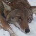 Profile Picture of David Ramm (@david.ramm.7509) on Facebook