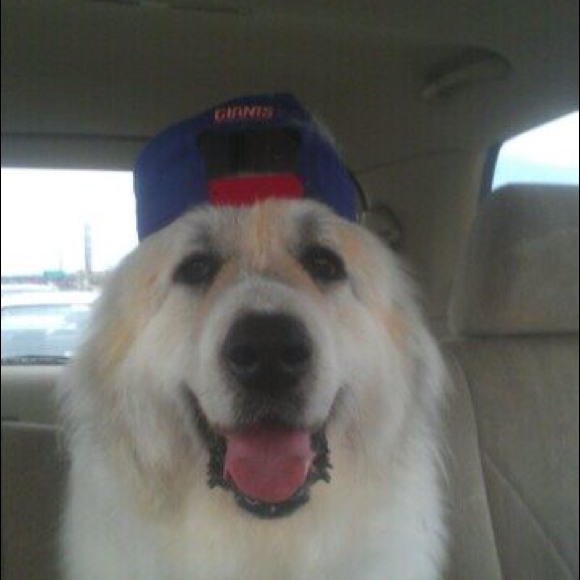 Profile Picture of Kim Napolitano (@mknapolitano) on Poshmark