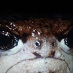 Profile Picture of Lucas Jordan (@lucas_jordan77) on Instagram