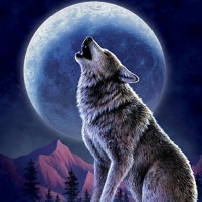 Profile Picture of Derrick Wilcox (@derrickwilcox) on Twitter