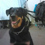 Samuel Davison - Instagram Profile Picture of Samuel Davison (@samuellgee) on Instagram