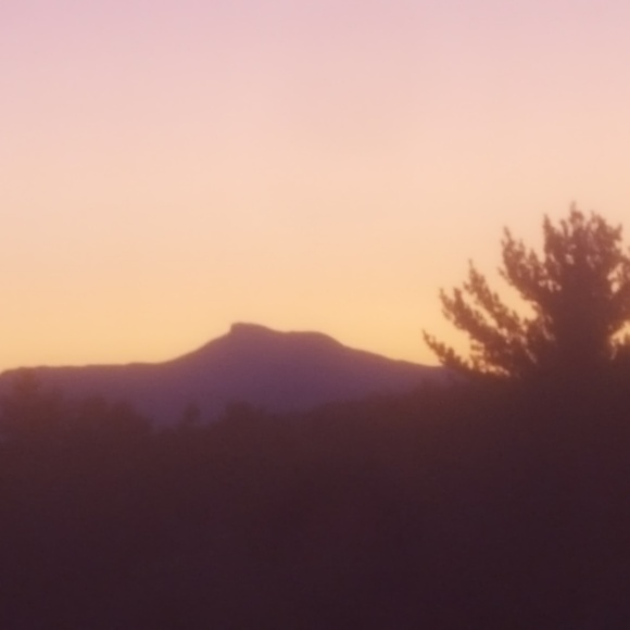 Profile Picture of Jolon Marden (@hansmojo) on Poshmark