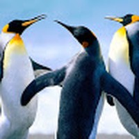 Profile Picture of Joanne Kitson-walters (@joanne-kitson-walters) on Quora