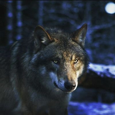 Profile Picture of Justin Barwick (@JustinBarwick8) on Twitter