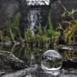 Profile Picture of Fran McHugh (@mchugh.fran.4) on Instagram