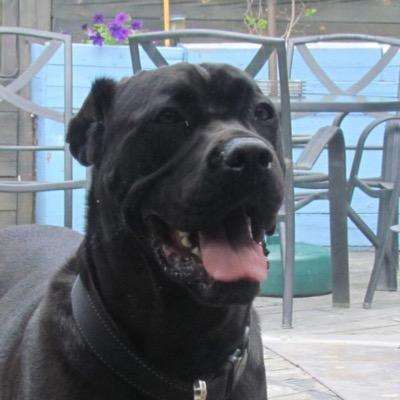 Profile Picture of Jeff Bailes (@bailesj59) on Twitter