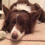 Profile Picture of Julie lockett (@julielockett1959) on Instagram