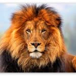 Profile Picture of Carlton Pounce (@carlton.p) on Instagram