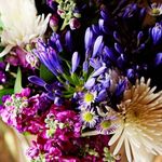 Profile Picture of Shawna McMillan (@shawnita16) on Instagram