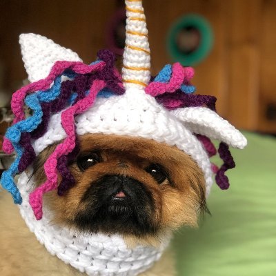 Profile Picture of Megan Nettleton (@MeganNettleton1) on Twitter