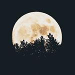 Profile Picture of Ada Torres (@escri_to01) on Instagram