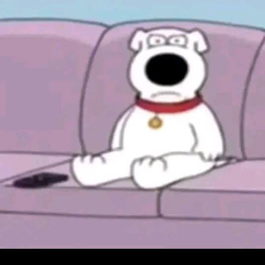 Profile Picture of mikey mazzola (@mikeymazzola) on Tiktok