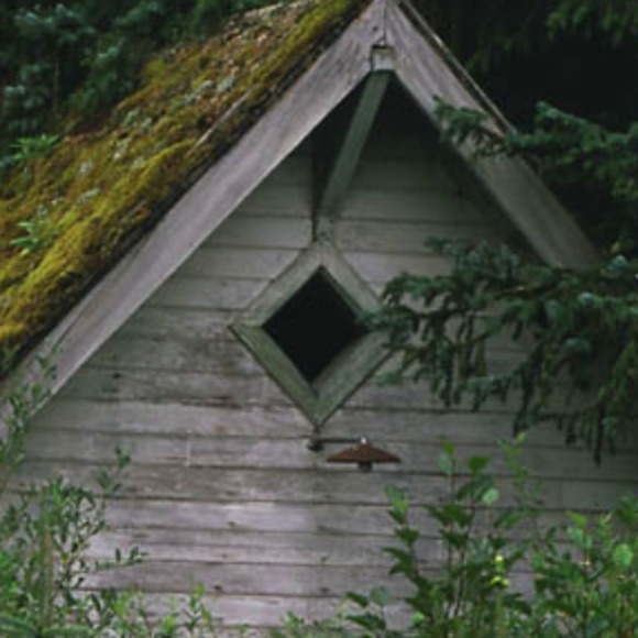 Debbie Heyes - Poshmark Profile Picture of Debbie Heyes (@debbieheyes) on Poshmark