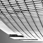 Martin Luciano - Instagram Profile Picture of Martin Luciano (@reneluciano) on Instagram