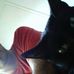 Profile Picture of Craig Gant (@orko71) on Facebook