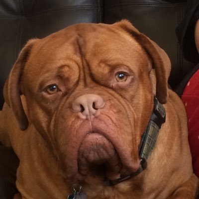 Profile Picture of Jeffrey Lenhart (@jeffrey_lenhart) on Twitter