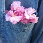 Profile Picture of damon (@xiaonanwu) on Instagram