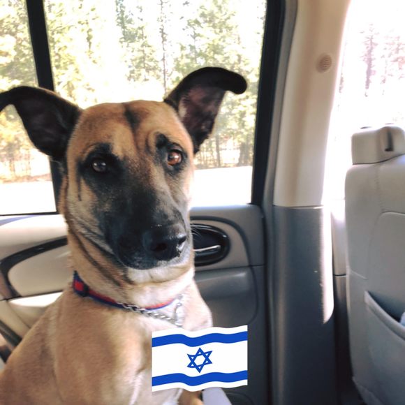 Profile Picture of Christina Nichols (@christinanic840) on Poshmark