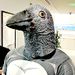 Profile Picture of Sean Newton (@newton6596) on Pinterest