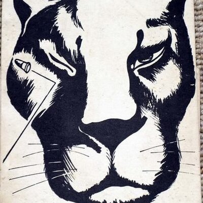 Profile Picture of AlbertMartínBarbaneg (@AlbertMartinBN) on Twitter