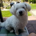 Profile Picture of Robin Labossière (@Robin-Labossière) on Facebook