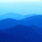 Profile Picture of Daniel Creek (@flowerchildren) on Pinterest