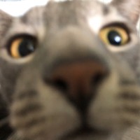 Profile Picture of Alex Rutter (@alex-rutter-5) on Quora