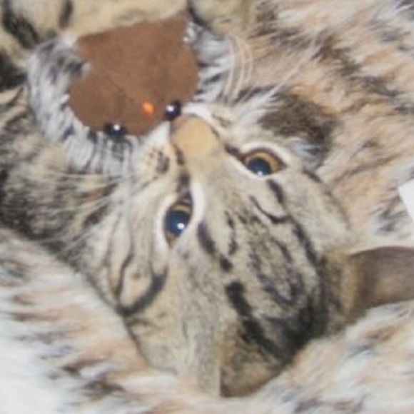 Profile Picture of Gabriela Gonzalez-wong (@gabrielawong) on Poshmark