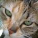 Profile Picture of Nattan Lemoine (@nattan.lemoine) on Facebook