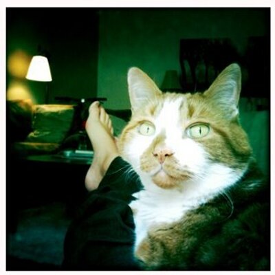 Profile Picture of Taylor Hepp (@taylorhepp) on Twitter