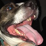 Profile Picture of Cali Richards (@richards_cali) on Instagram