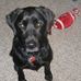 Profile Picture of Pepper Cleary (@pepper.cleary) on Facebook