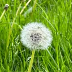 Profile Picture of Joseph Wen (@Joseph-Wen) on Facebook