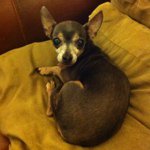 Profile Picture of Sadie Allison Holmes (@sadiepie77) on Instagram